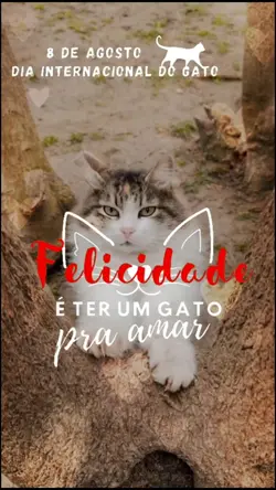 Dia do gato