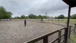 Slow mo horse