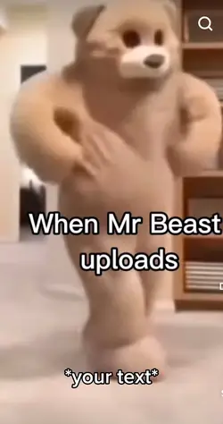 Mr Bear 