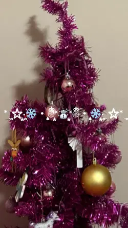 MERRY CHRISTMAS *̣̥☆·͙̥❄