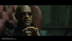 what is the matrix?