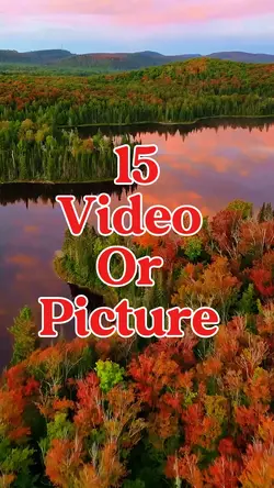 15 video or picture