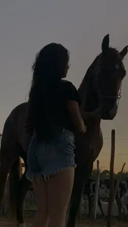 Meu ex-amor