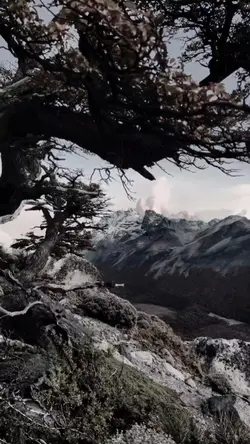 paisagem