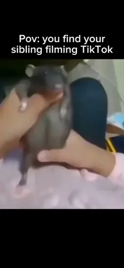 Sibling on TikTok
