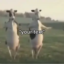 Cow Meme