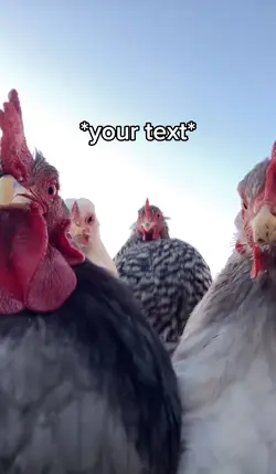 Chicken dance 