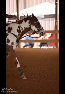 Barrel Racing Dance