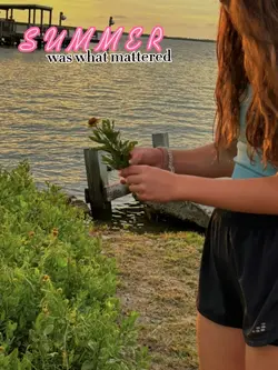 🍉🌞🧴🌊🐚