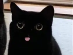 Idk