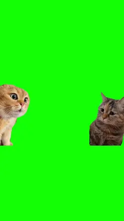 talking cats meme