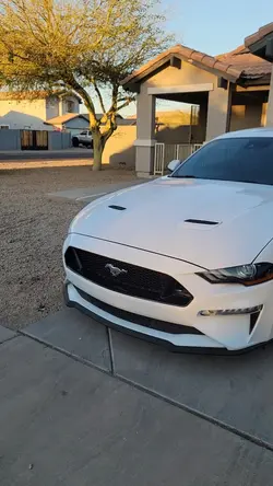 2022 mustang 