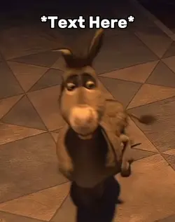 Donkey Rizz