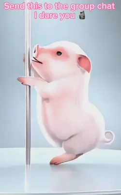 Bacon Strips