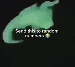 Croc