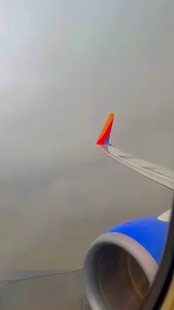 💛❤️💙Southwest💛❤️💙