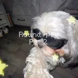 Round pfp