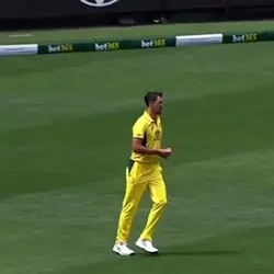 Cricket highlights 