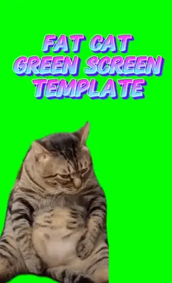 Fat Cat