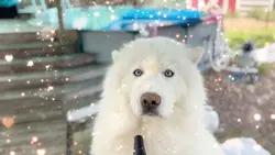 Long Form Video Edit