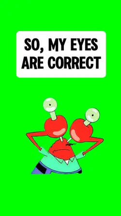 MY EYES ARE CORRECT
