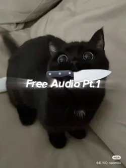 Free Audio Pt.1