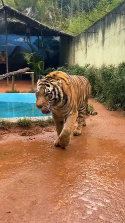 Zoológico 