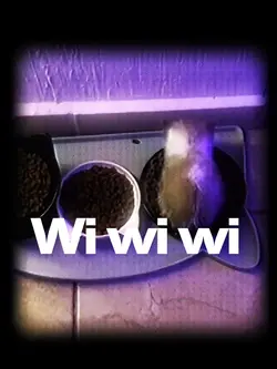 WI WI WI