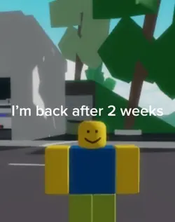 Roblox meme