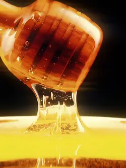 Honey Velocity