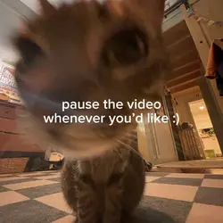 <333
