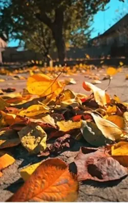 Fall time 🍁