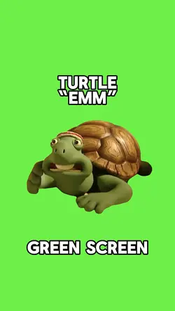 Turtle “Emm”