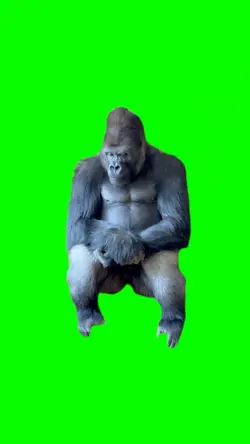 Lonely Gorilla Meme