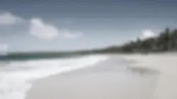 Beach transition