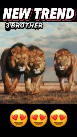 3 brothers