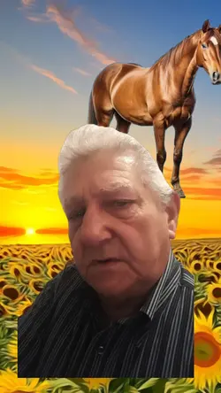 cavalo kk