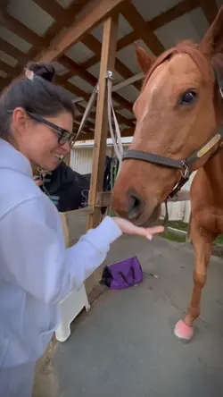 my mom w horses>>