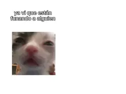 funa??