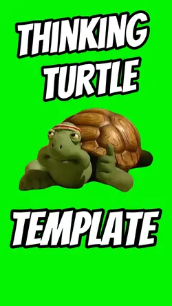Thinking Turtle