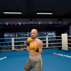 New vr gamer