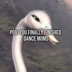 POV: You finished-