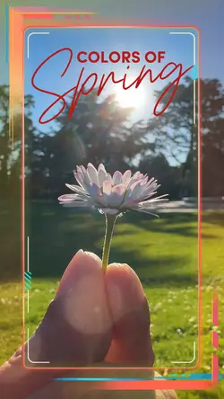 Spring flowers