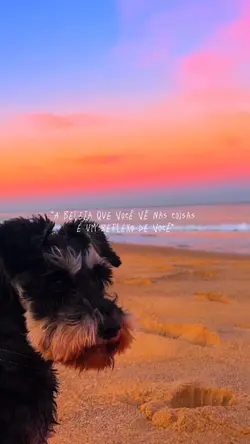 ♥️✨