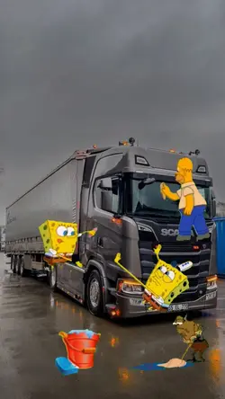 bobi espoja limpando