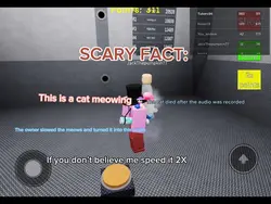 This audio is a cat