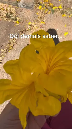 DoÍ demais saber…