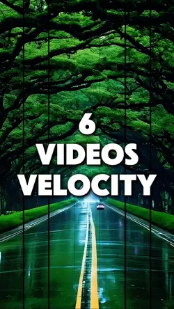 Vlog velocity