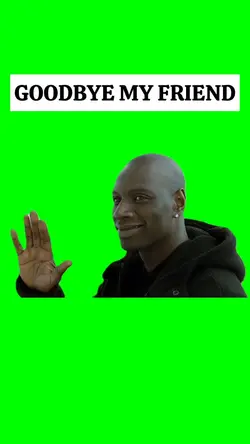 GOODBYE MY FRIEND