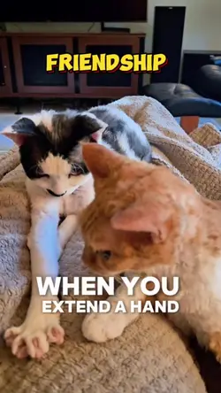 Friendship